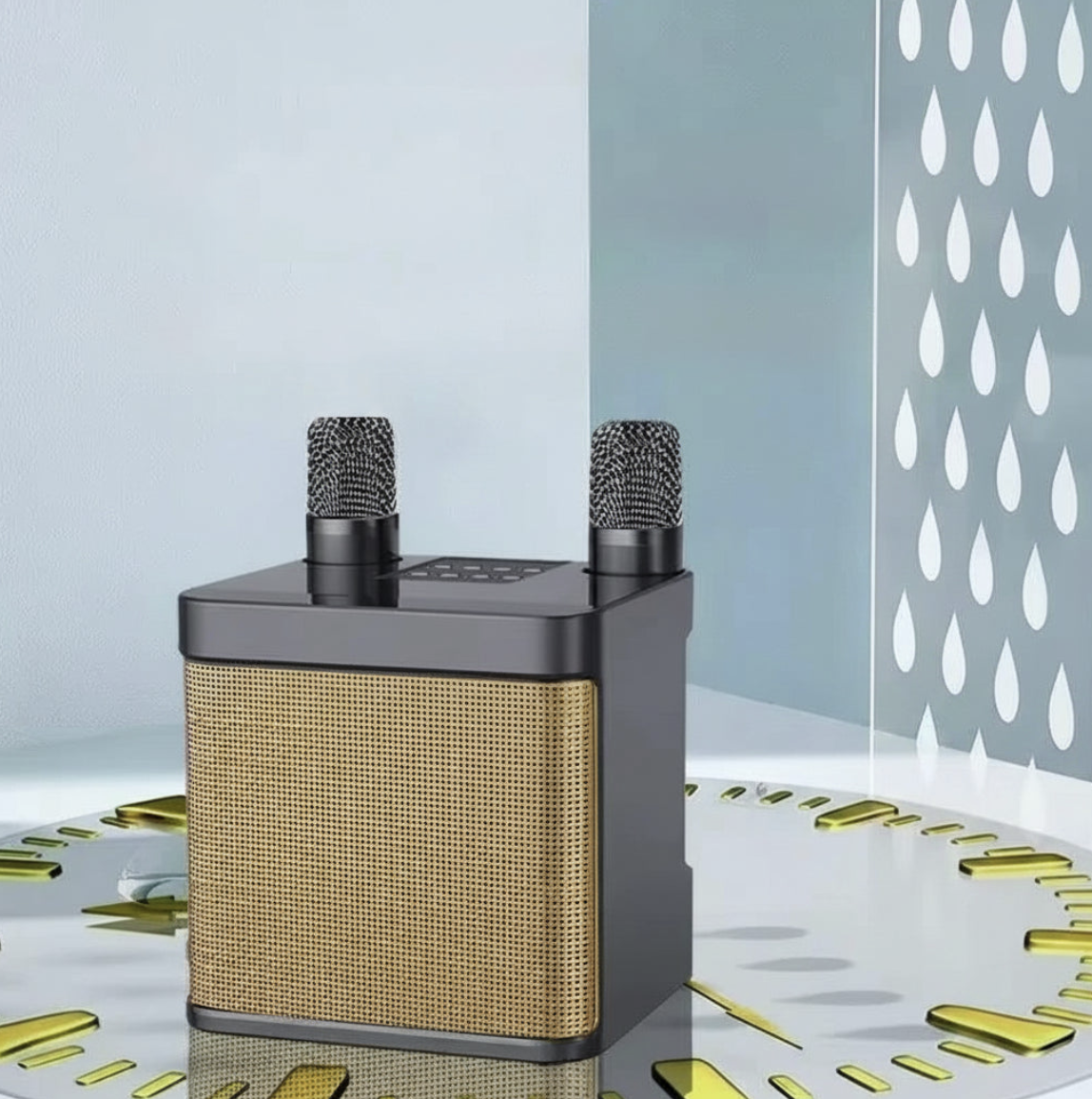 Portable Tech Viral To You Limited karaoke machine with two wireless microphones and voice effects for singing entertainment.