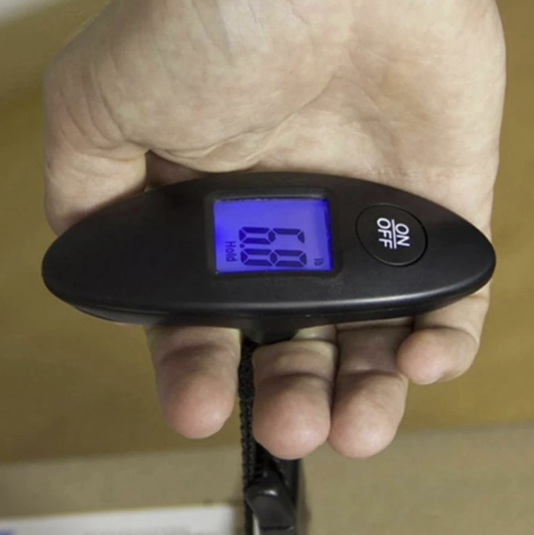 Portable DIDA BEAR luggage scale with backlit display, measures up to 88lb for travel accessories and luggage weight checking.
