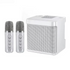 Portable karaoke machine with two wireless microphones and voice effects, ideal for singing and entertainment.